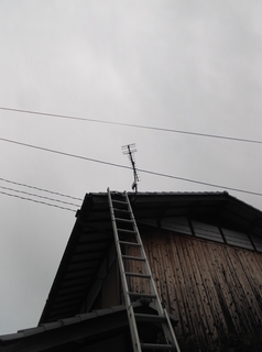 DSCF2386.JPG