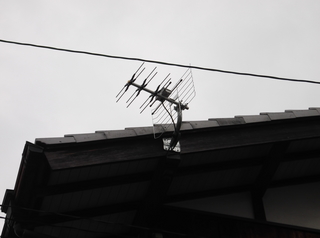 DSCF2387.JPG