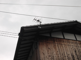 DSCF2388.JPG