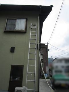 IMG_1398_NEW.jpg